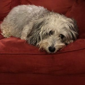 Meet your Posher, Charla